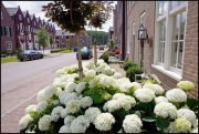 vvbfoto schuytgraaf arnhem 261